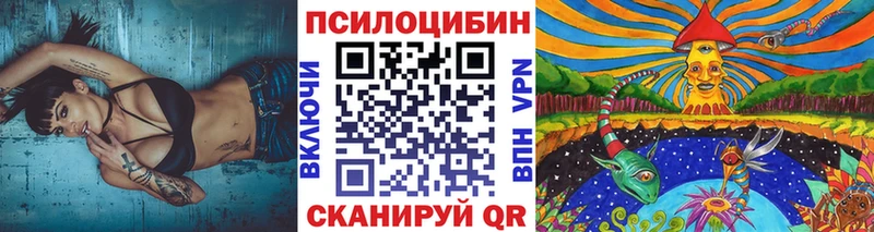 Псилоцибиновые грибы MAGIC MUSHROOMS  Купить  Горно-Алтайск 